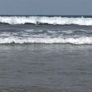 Meet your Posher, Akram